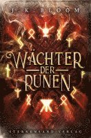 bokomslag Wächter der Runen (Band 2)