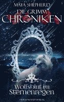bokomslag Die Grimm-Chroniken (Band 17): Wolfsblut im Sternenregen