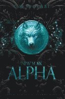 C. M. Spoerri - New York Alpha (Sammelband 4), Häftad