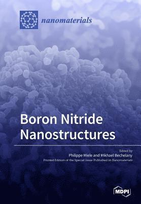 Boron Nitride Nanostructures, Häftad
