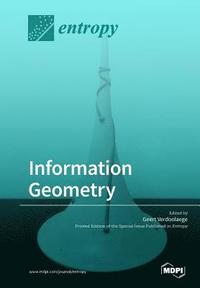 bokomslag Information Geometry