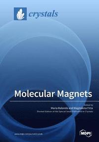 bokomslag Molecular Magnets