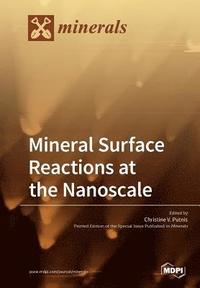 bokomslag Mineral Surface Reactions at the Nanoscale