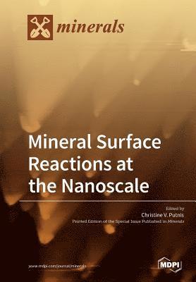bokomslag Mineral Surface Reactions at the Nanoscale