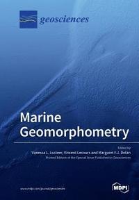 bokomslag Marine Geomorphometry