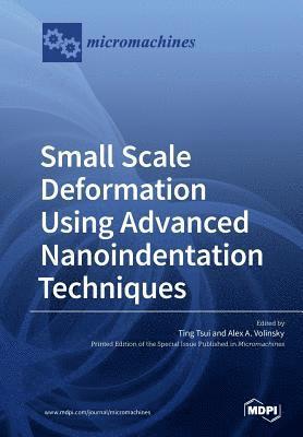 Small Scale Deformation Using Advanced Nanoindentation Techniques 1