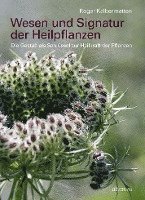 Roger Kalbermatten - Wesen und Signatur der Heilpflanzen, Inbunden