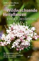 Steffen Guido Fleischhauer, Astrid Süssmuth, Roland Spiegelberger, Claudia Gassner, Viola Nehrbaß - Wildwachsende Heilpflanzen einfach bestimmen, Häftad