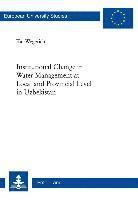 Kai Wegerich - Institutional Change in Water Management at Local and Provincial Level in Uzbekistan, Häftad