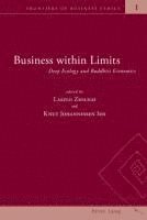 bokomslag Business within Limits