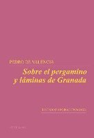 bokomslag Sobre El Pergamino Y Laminas De Granada