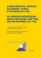 Michel Grunewald, Grunewald Michel Grunewald, Puschner Uwe Puschner - Das katholische Intellektuellenmilieu in Deutschland, seine Presse und seine Netzwerke (1871-1963)-, Häftad