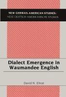 bokomslag Dialect Emergence in Waumandee English