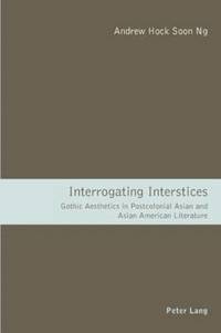 bokomslag Interrogating Interstices