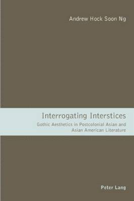 bokomslag Interrogating Interstices