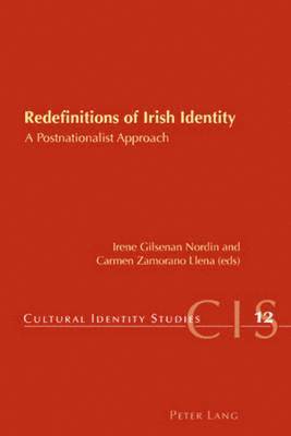bokomslag Redefinitions of Irish Identity