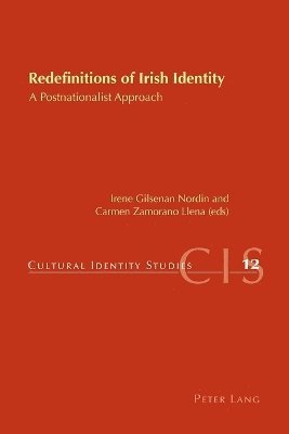 bokomslag Redefinitions of Irish Identity