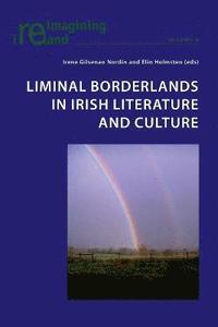 bokomslag Liminal Borderlands in Irish Literature and Culture