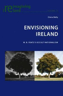 Claire Nally, Eamon Maher - Envisioning Ireland, Häftad