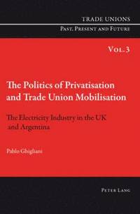 bokomslag The Politics of Privatisation and Trade Union Mobilisation