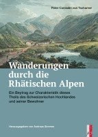 bokomslag Wanderungen durch die Räthischen Alpen