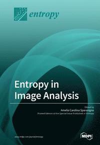 bokomslag Entropy in Image Analysis