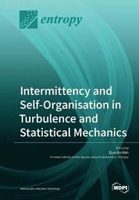 bokomslag Intermittency and Self-Organisation in Turbulence and Statistical Mechanics