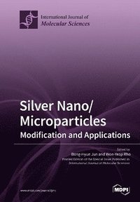 bokomslag Silver Nano/microparticles