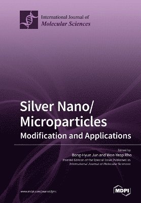 bokomslag Silver Nano/microparticles