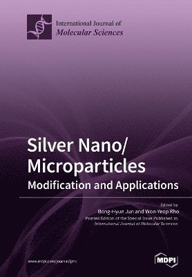 Silver Nano/microparticles 1