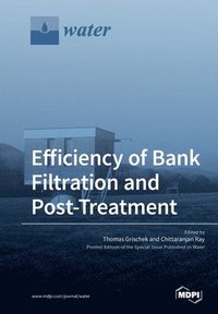 bokomslag Efficiency of Bank Filtration and Post-Treatment