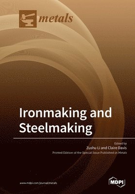 Zushu Li, Claire Davis - Ironmaking and Steelmaking, Häftad