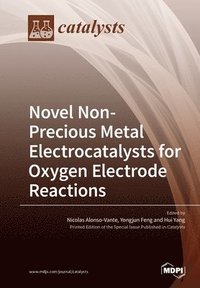 bokomslag Novel Non-Precious Metal Electrocatalysts for Oxygen Electrode Reactions