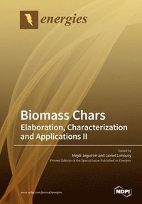 bokomslag Biomass Chars