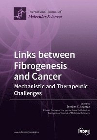 bokomslag Links between Fibrogenesis and Cancer