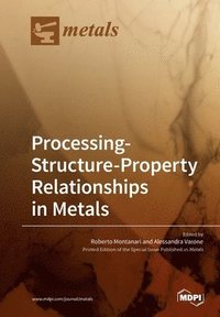bokomslag Processing-Structure-Property Relationships in Metals