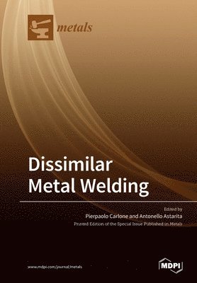 bokomslag Dissimilar Metal Welding