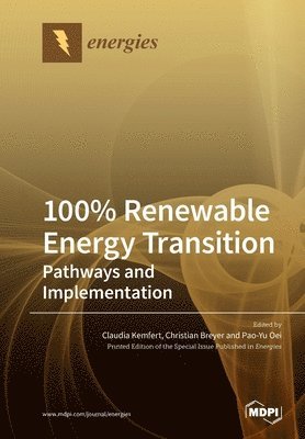 bokomslag 100% Renewable Energy Transition