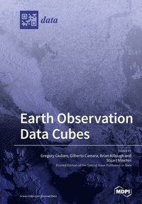 bokomslag Earth Observation Data Cubes