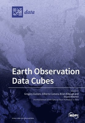 bokomslag Earth Observation Data Cubes