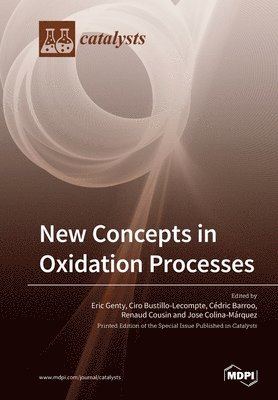 bokomslag New Concepts in Oxidation Processes