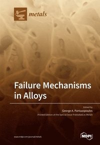 bokomslag Failure Mechanisms in Alloys