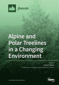 bokomslag Alpine and Polar Treelines in a Changing Environment