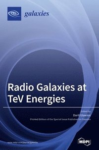bokomslag Radio Galaxies at TeV Energies