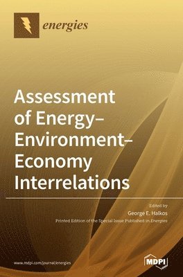 Assessment of Energy-Environment-Economy Interrelations 1