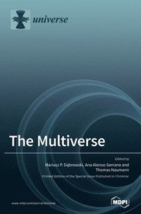 bokomslag The Multiverse