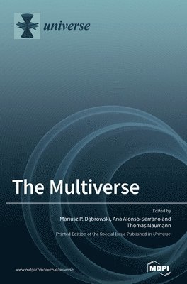 The Multiverse 1