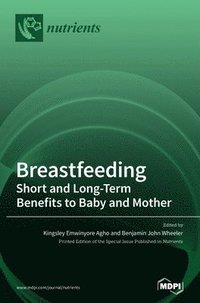 bokomslag Breastfeeding