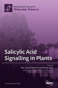 bokomslag Salicylic Acid Signalling in Plants