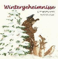 bokomslag Wintergeheimnisse